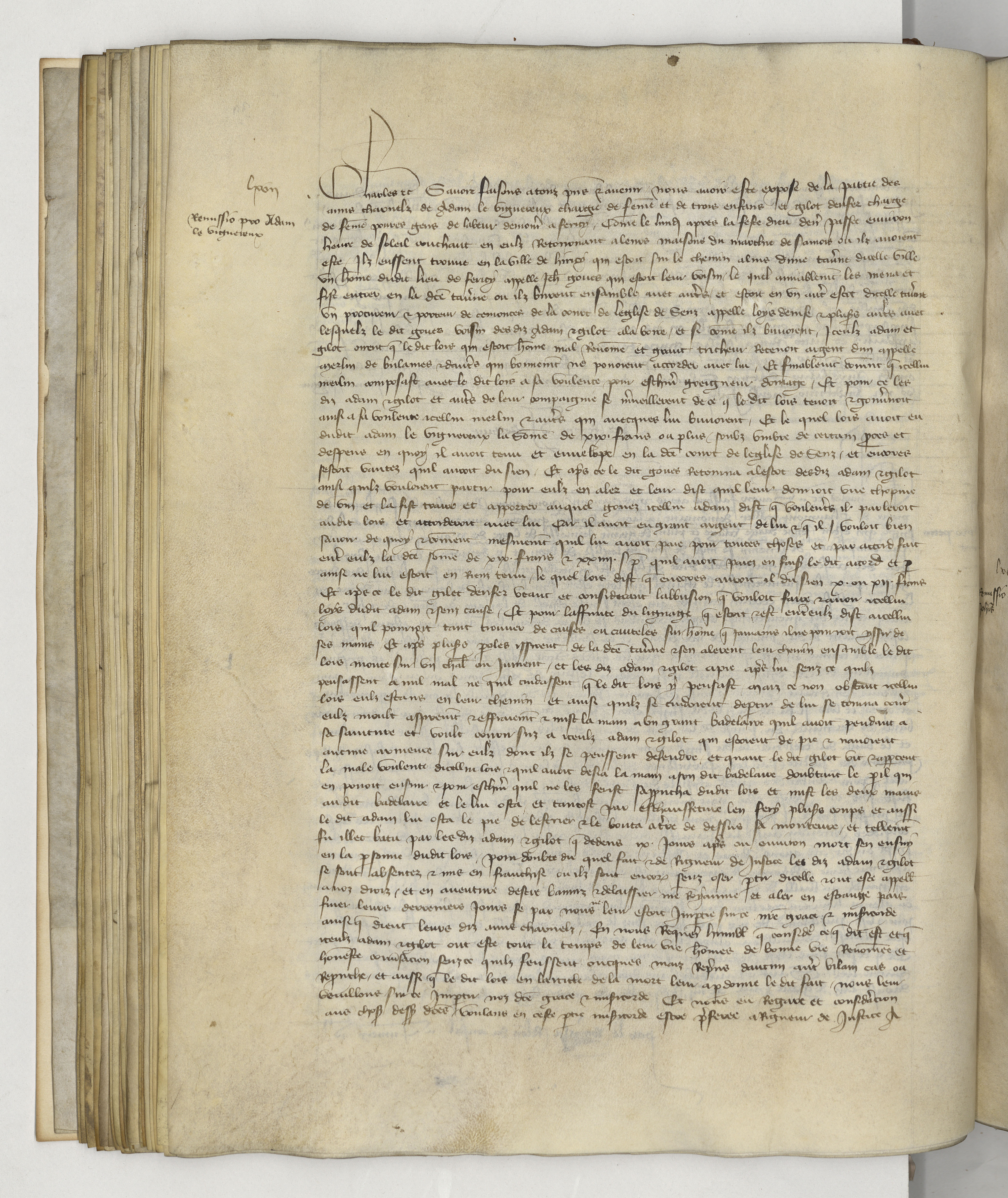 Page image