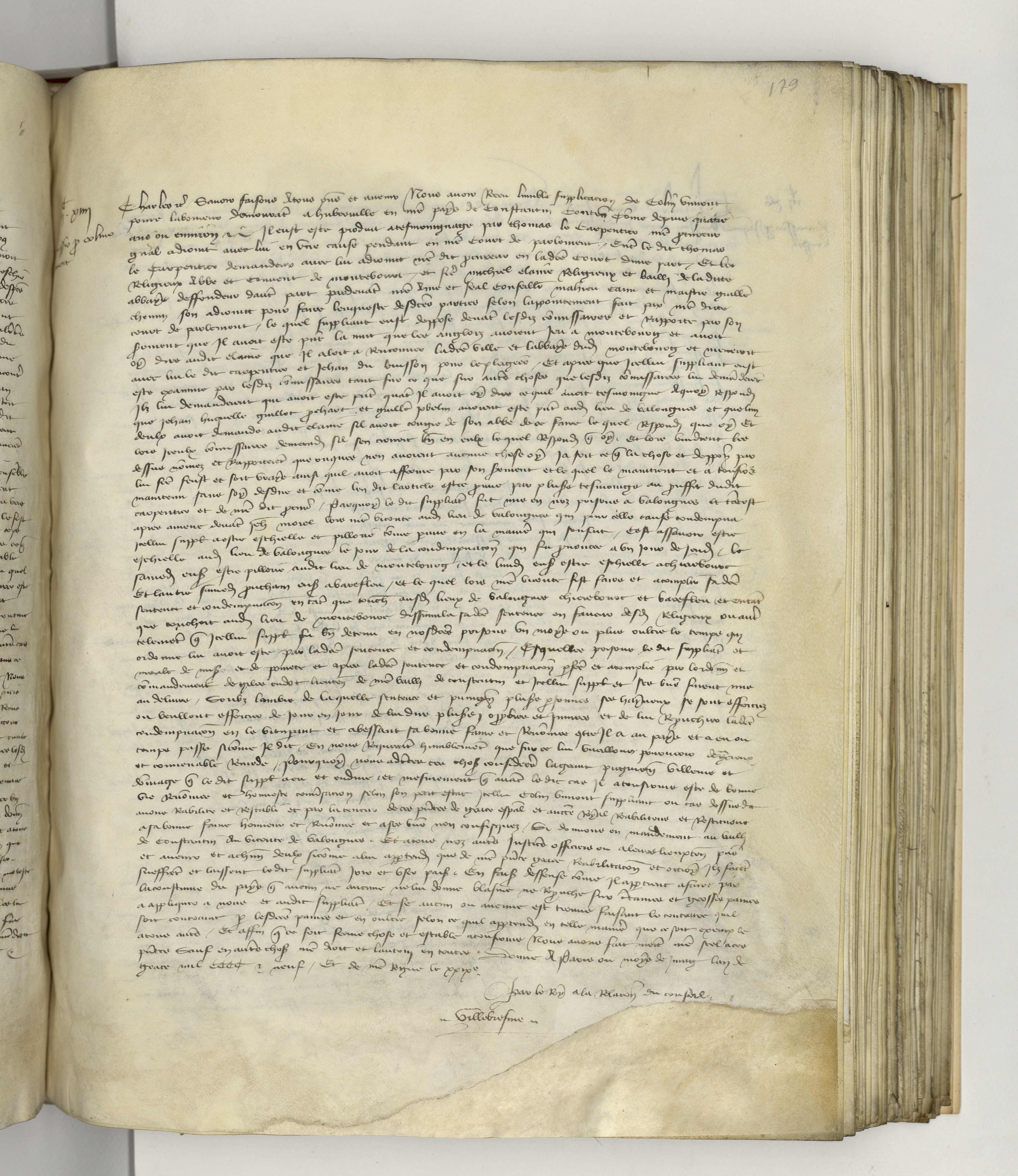 Page image