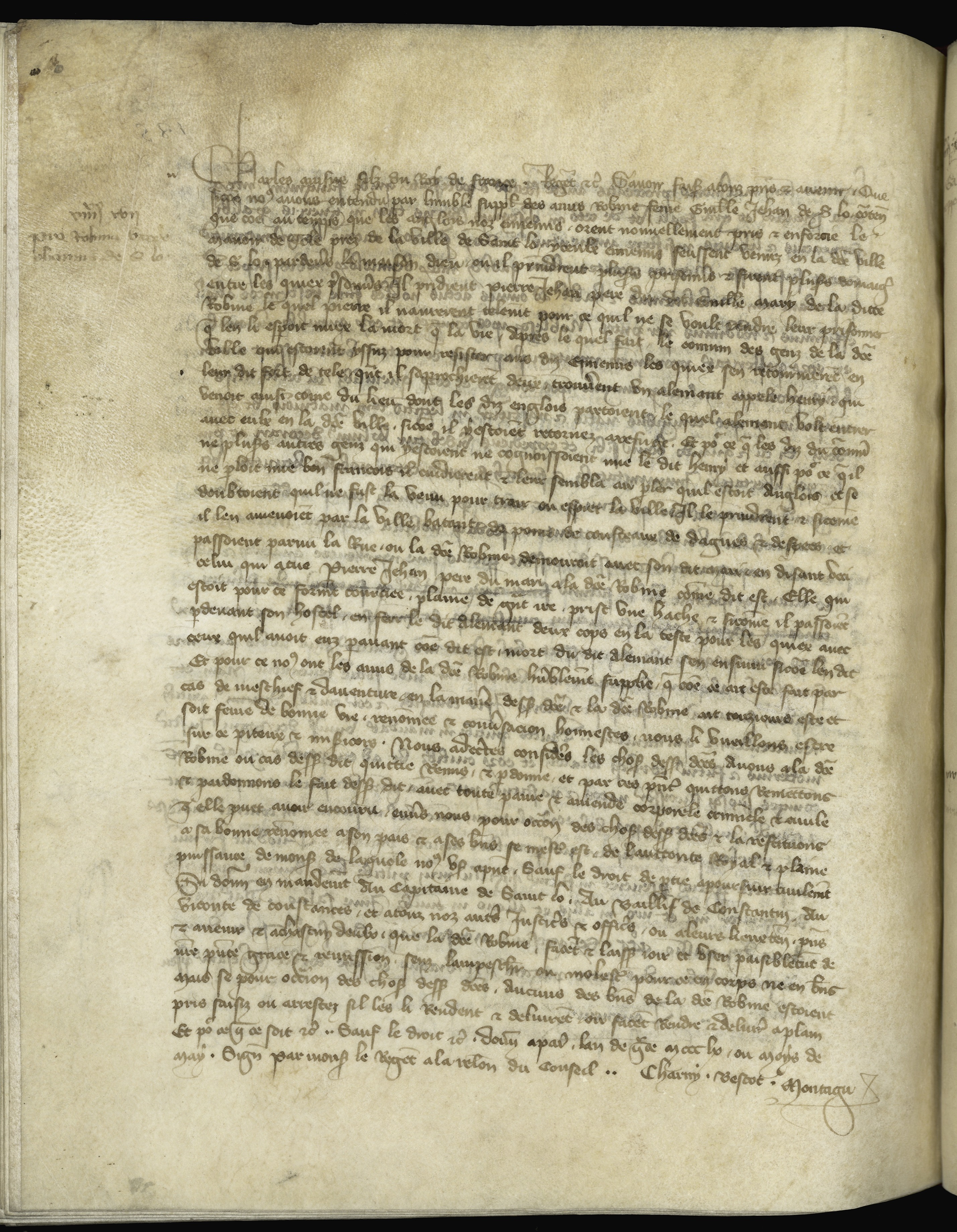 Page image